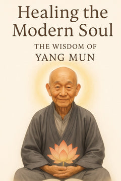 Healing the Modern Soul - eBook