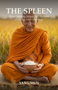 The Spleen eBook cover | Yang Mun